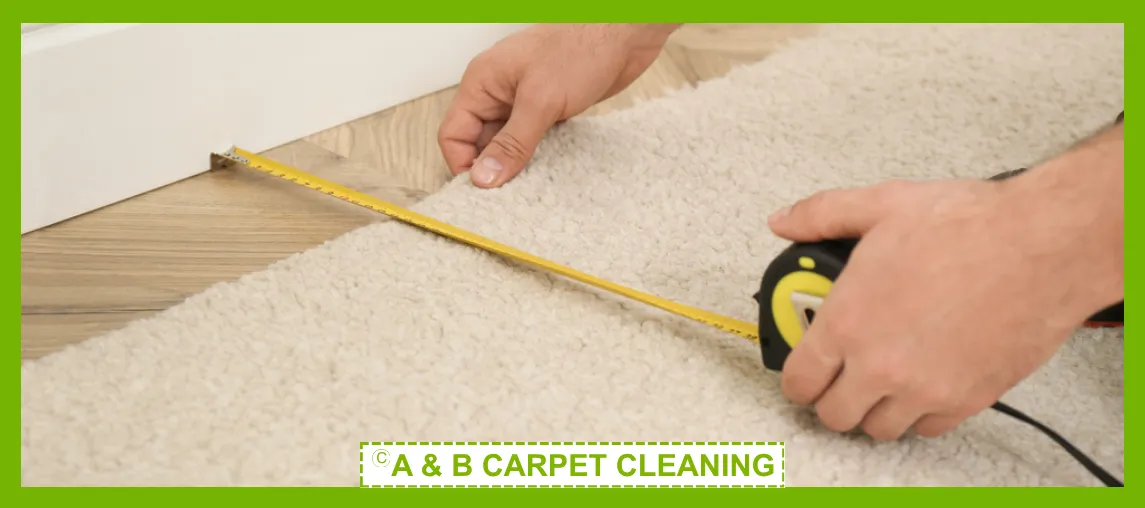 Professional rug cleaning in action